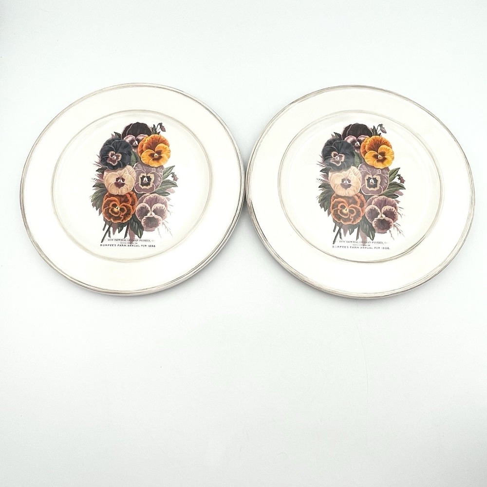 Cracker Barrel Garden Seeds New Imperial‎ German Pansies 8" Plates Set of 2